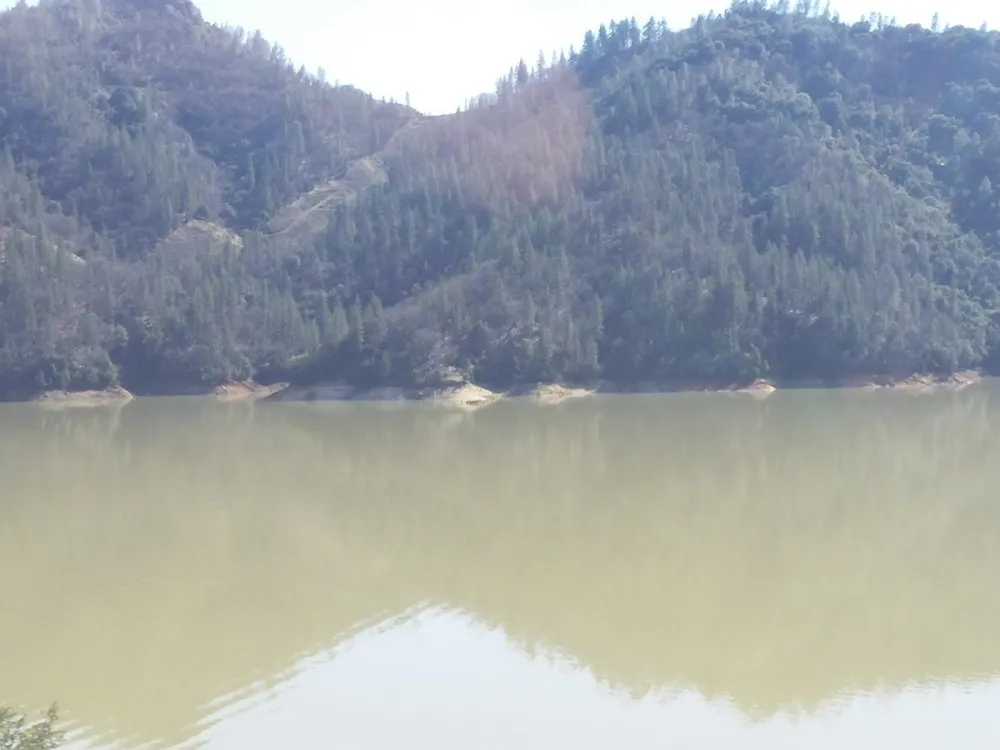 Fawndale Oaks RV Park