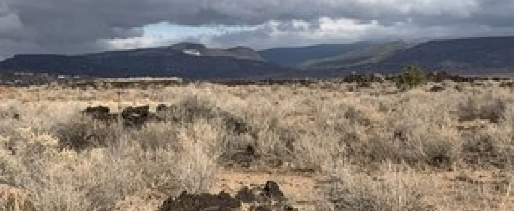 Grants-Cibola Sands KOA