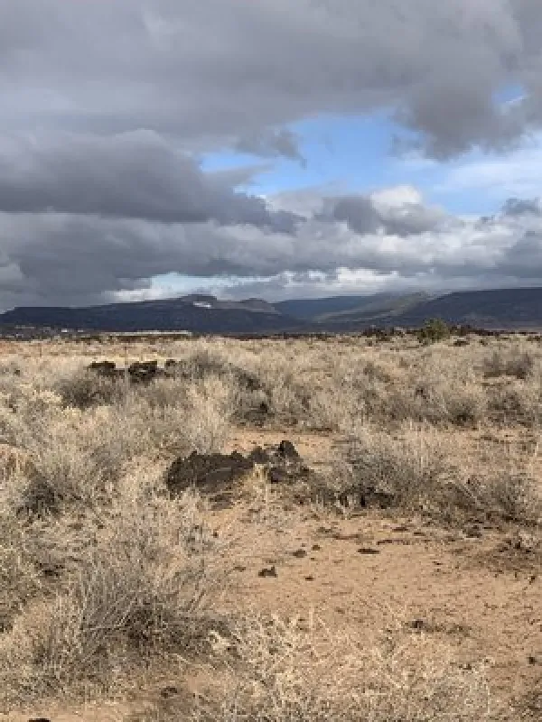 Grants-Cibola Sands KOA