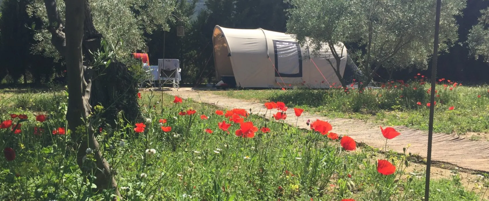 Mini-Camping Ardalejo