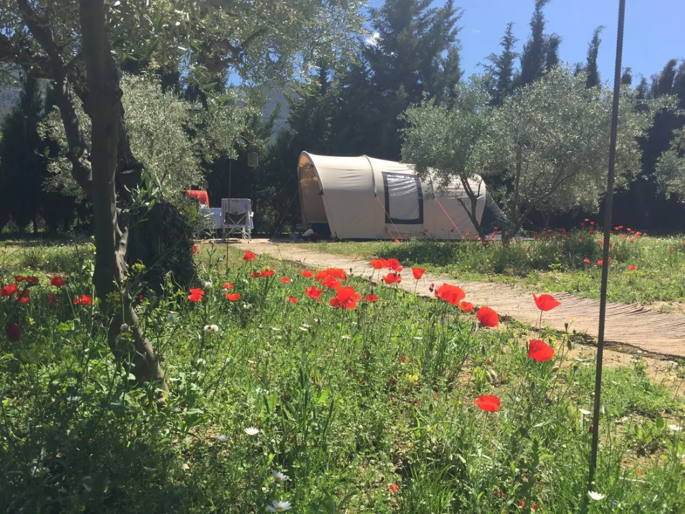 Mini-Camping Ardalejo