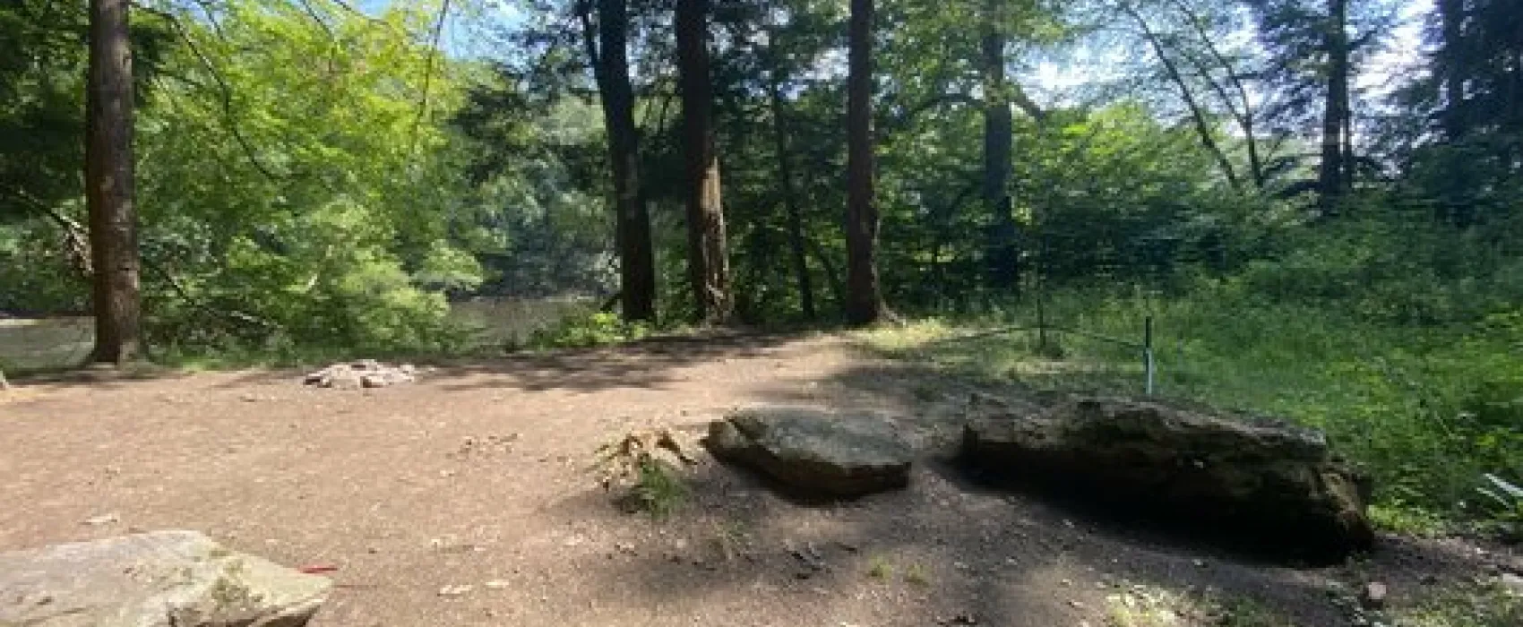 Clarion River Designated Campsites