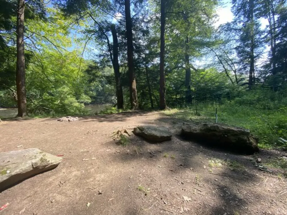 Clarion River Designated Campsites