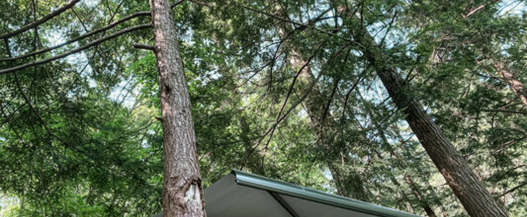 Clarion River Designated Campsites