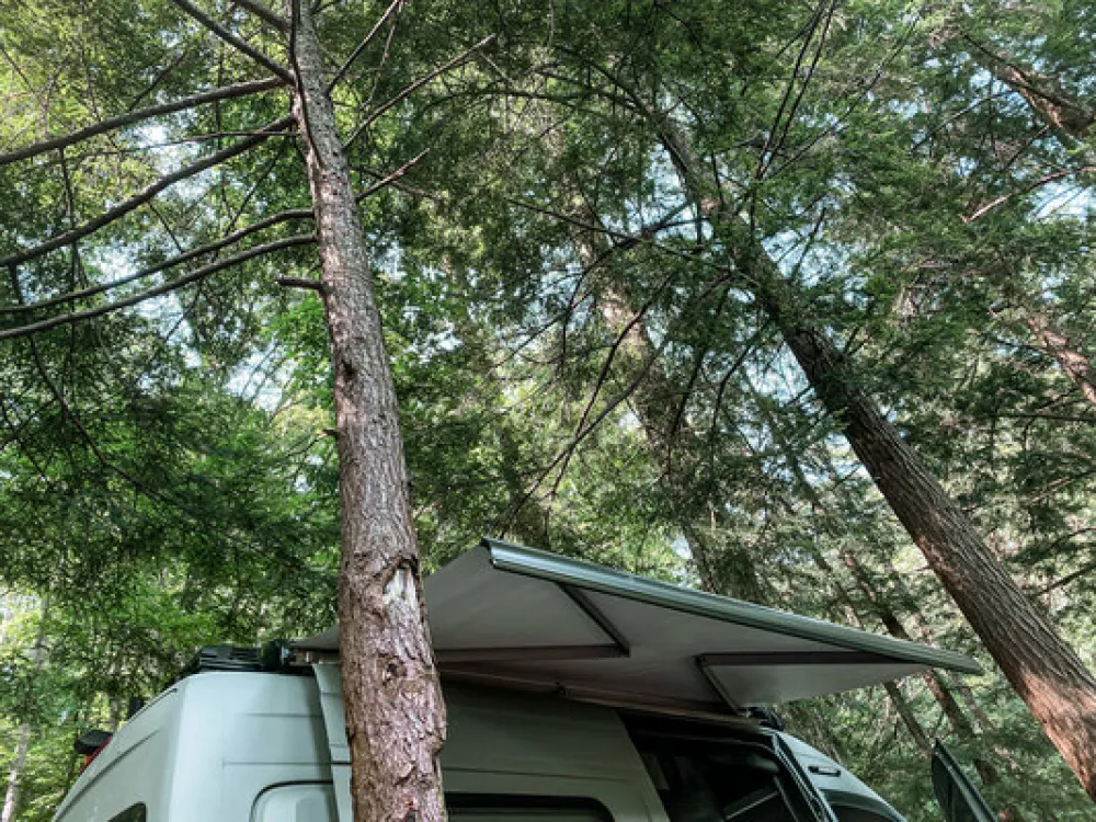 Clarion River Designated Campsites