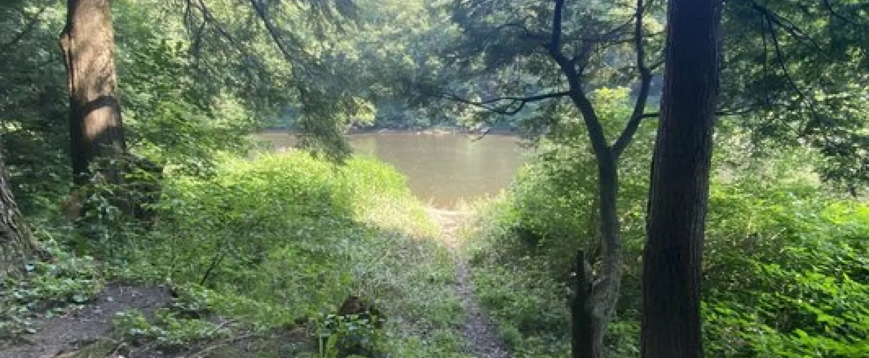 Clarion River Designated Campsites