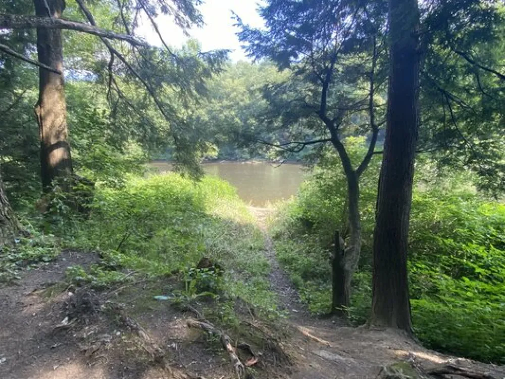 Clarion River Designated Campsites