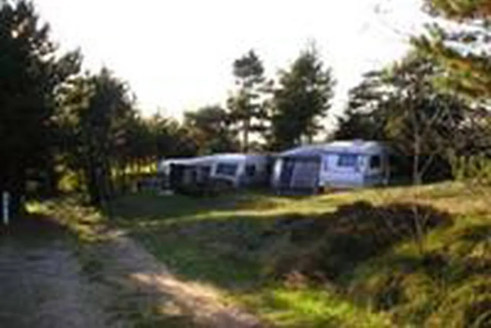 Skive Flyndersø Camping