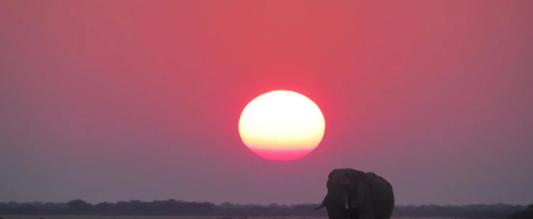 Croc Bridge Safari Lodge