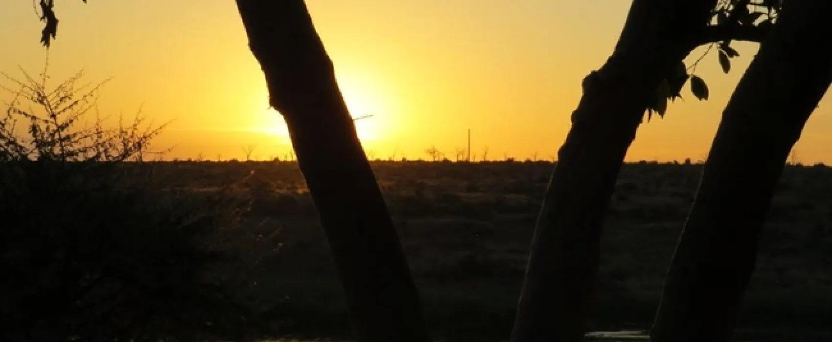 Croc Bridge Safari Lodge