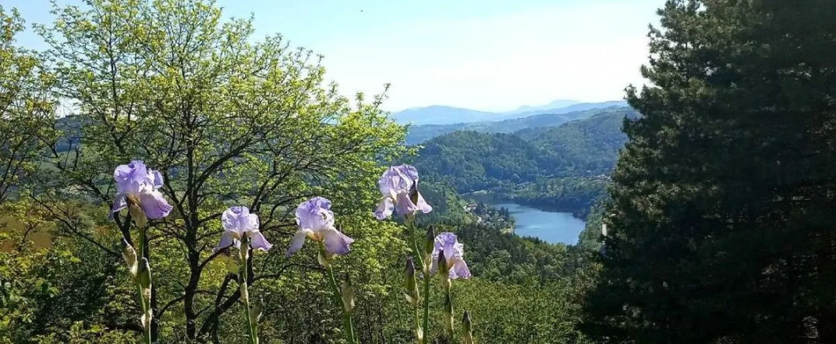 Domaine Naturiste Le Dorier