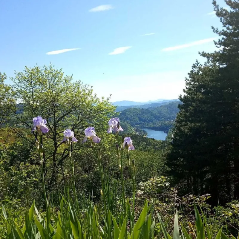 Domaine Naturiste Le Dorier