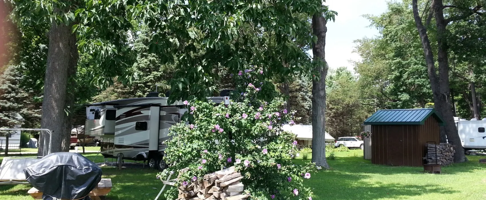 Pine Lane Campground