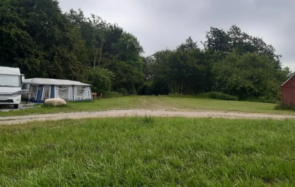 Davidstorps Kryddgård