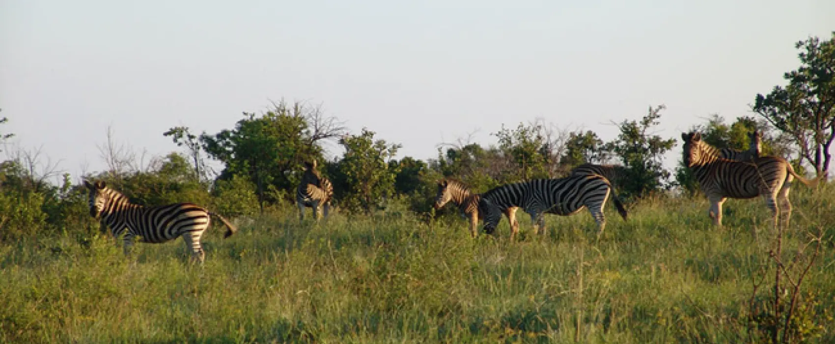 Waterberg Wilderness Reserve