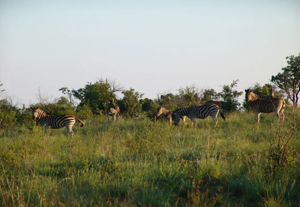 Waterberg Wilderness Reserve