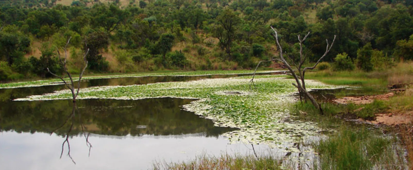 Waterberg Wilderness Reserve