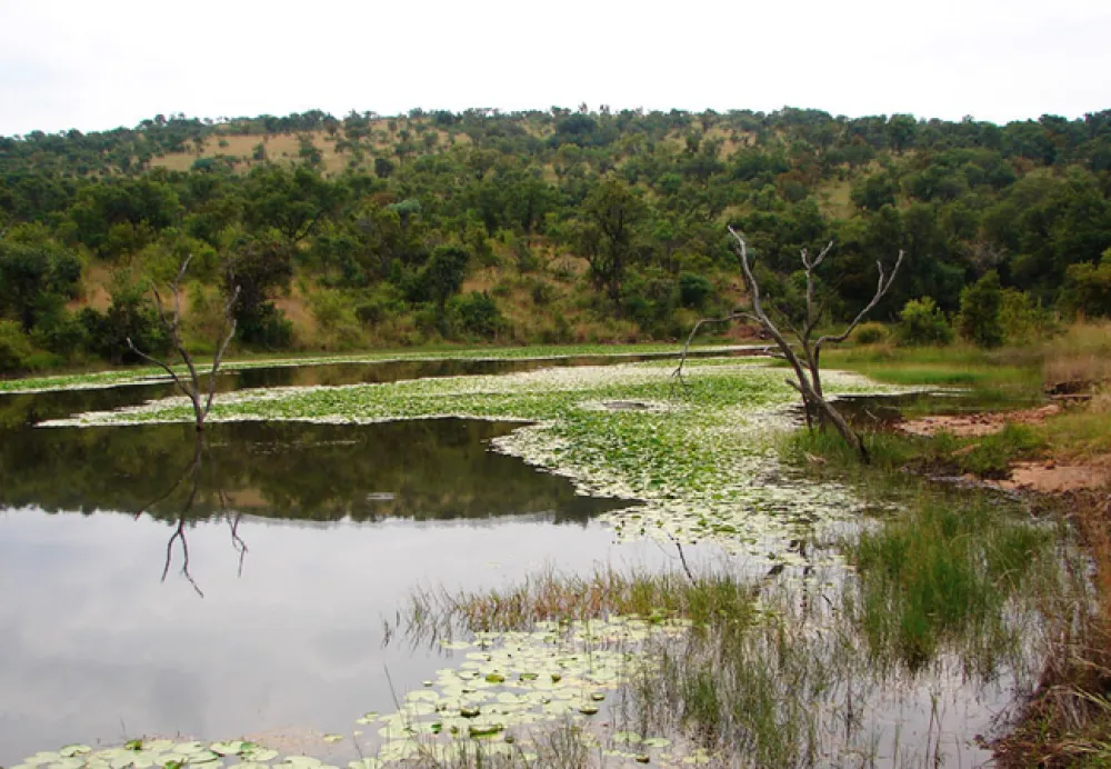 Waterberg Wilderness Reserve