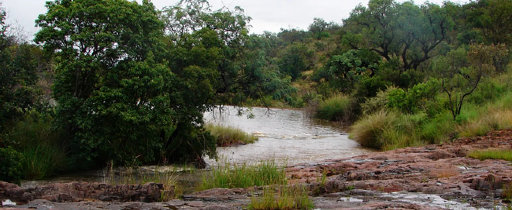 Waterberg Wilderness Reserve