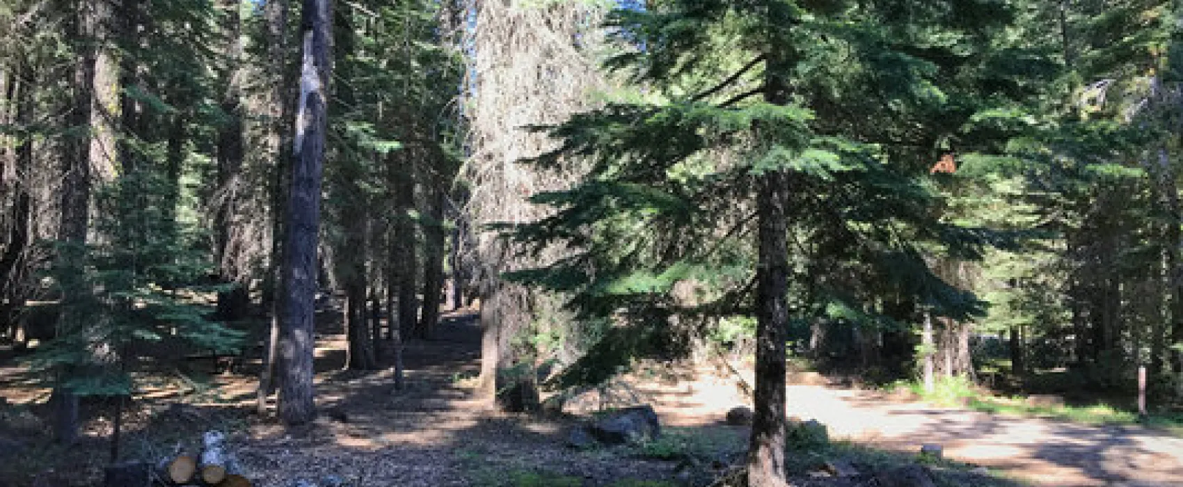 Domingo Springs Campground