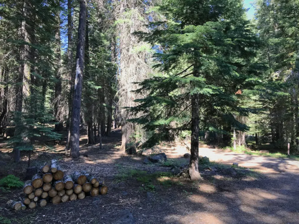 Domingo Springs Campground