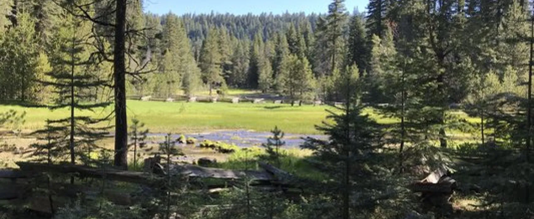 Domingo Springs Campground