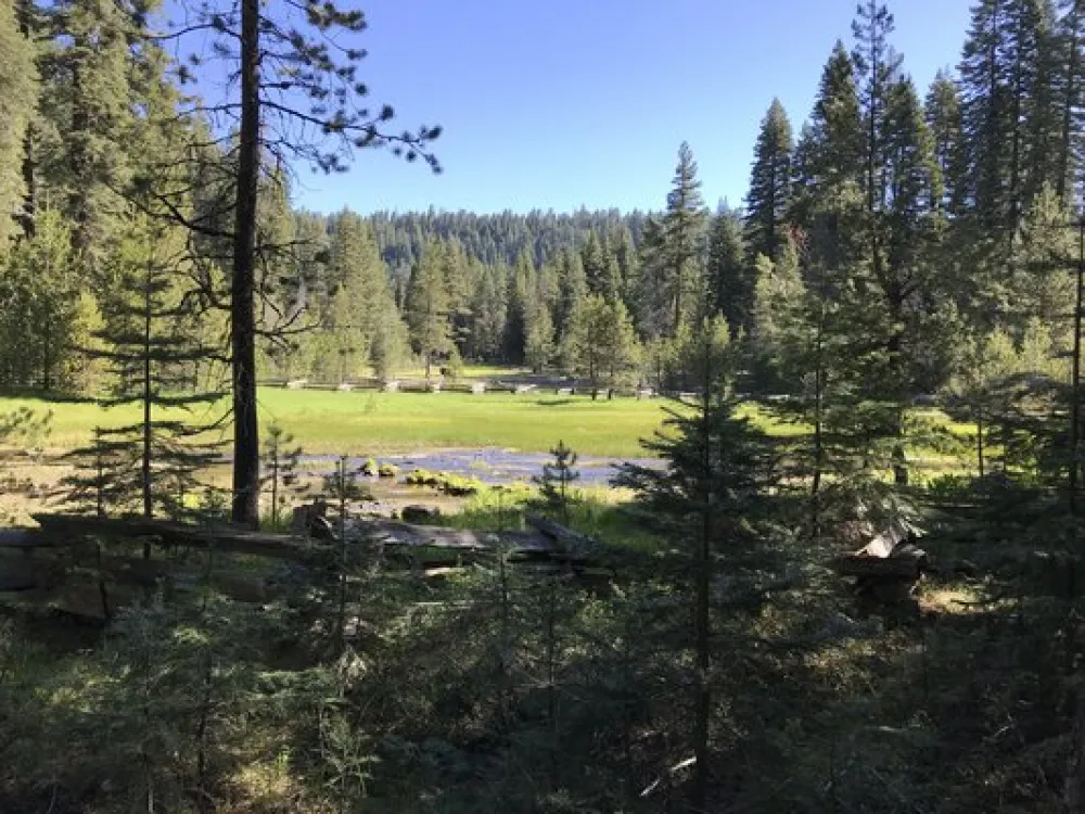 Domingo Springs Campground