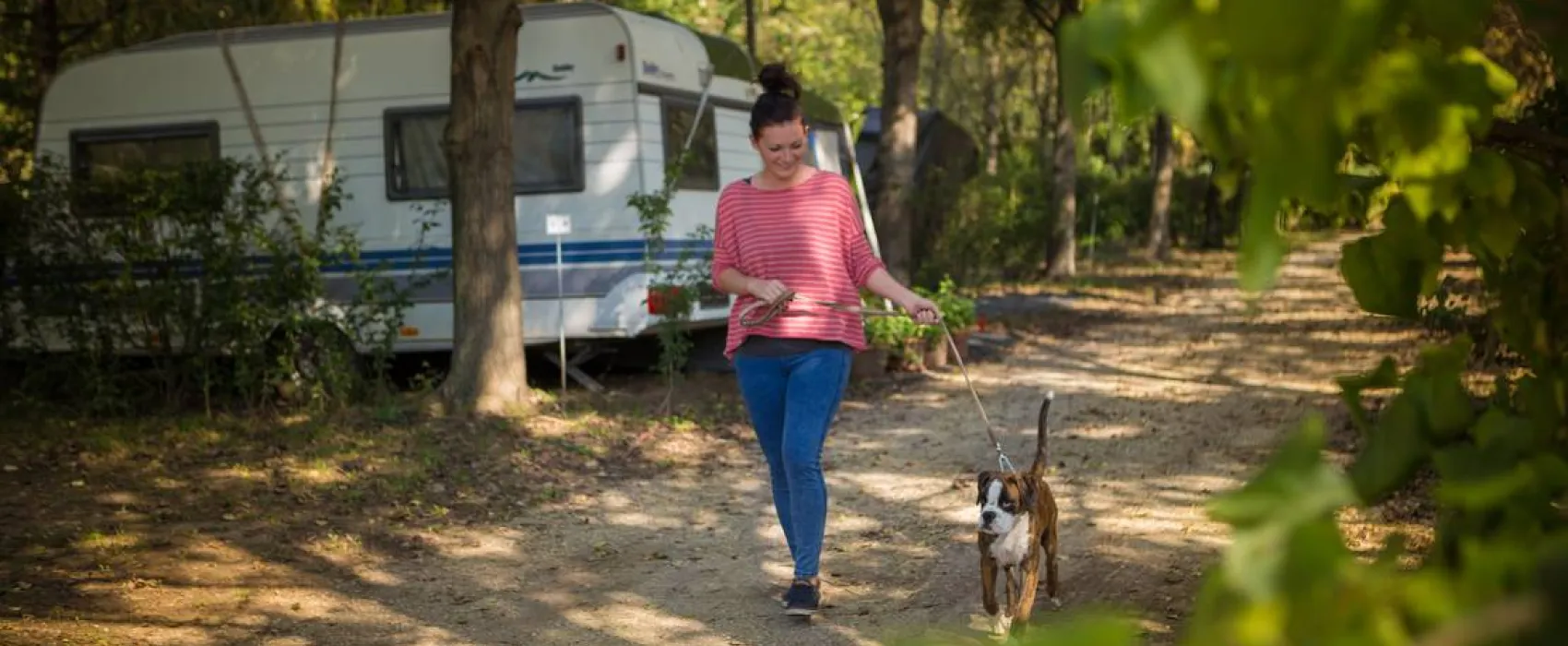 Termálkemping - Hajdúböszörmény