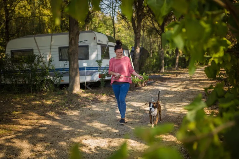 Termálkemping - Hajdúböszörmény