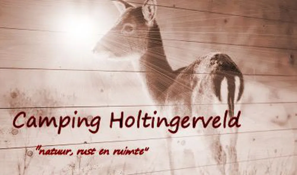 Holtingerveld