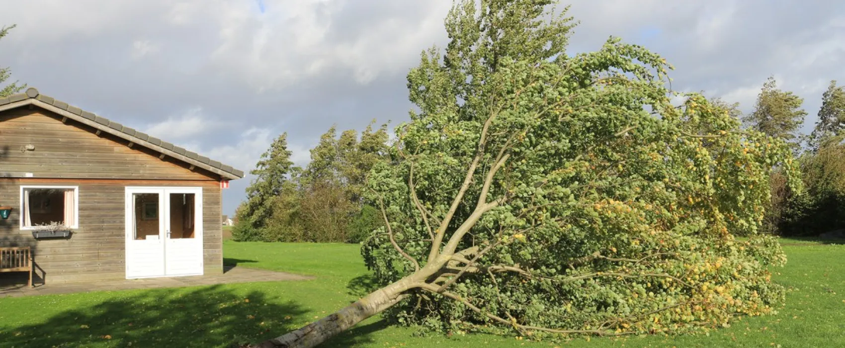 Groene Camping In de Polder