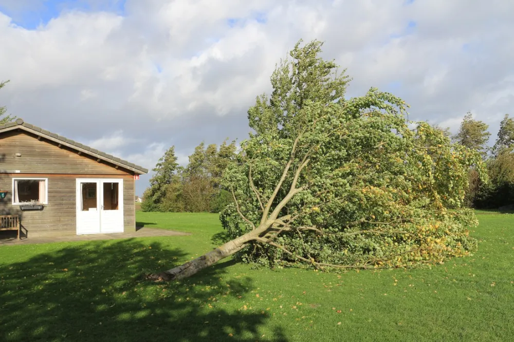 Groene Camping In de Polder