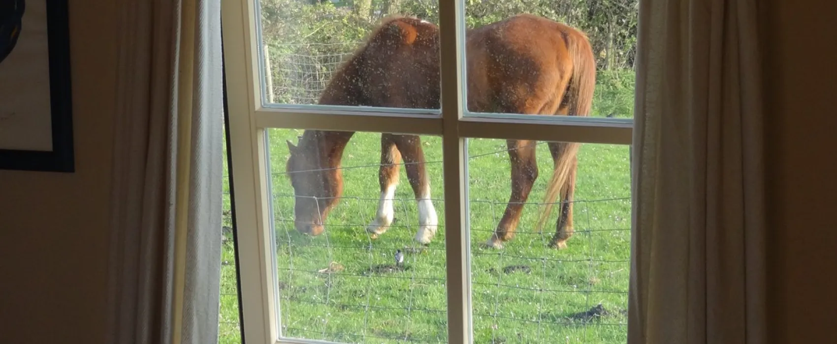 Groene Camping In de Polder