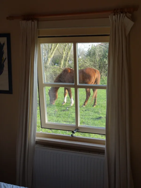 Groene Camping In de Polder