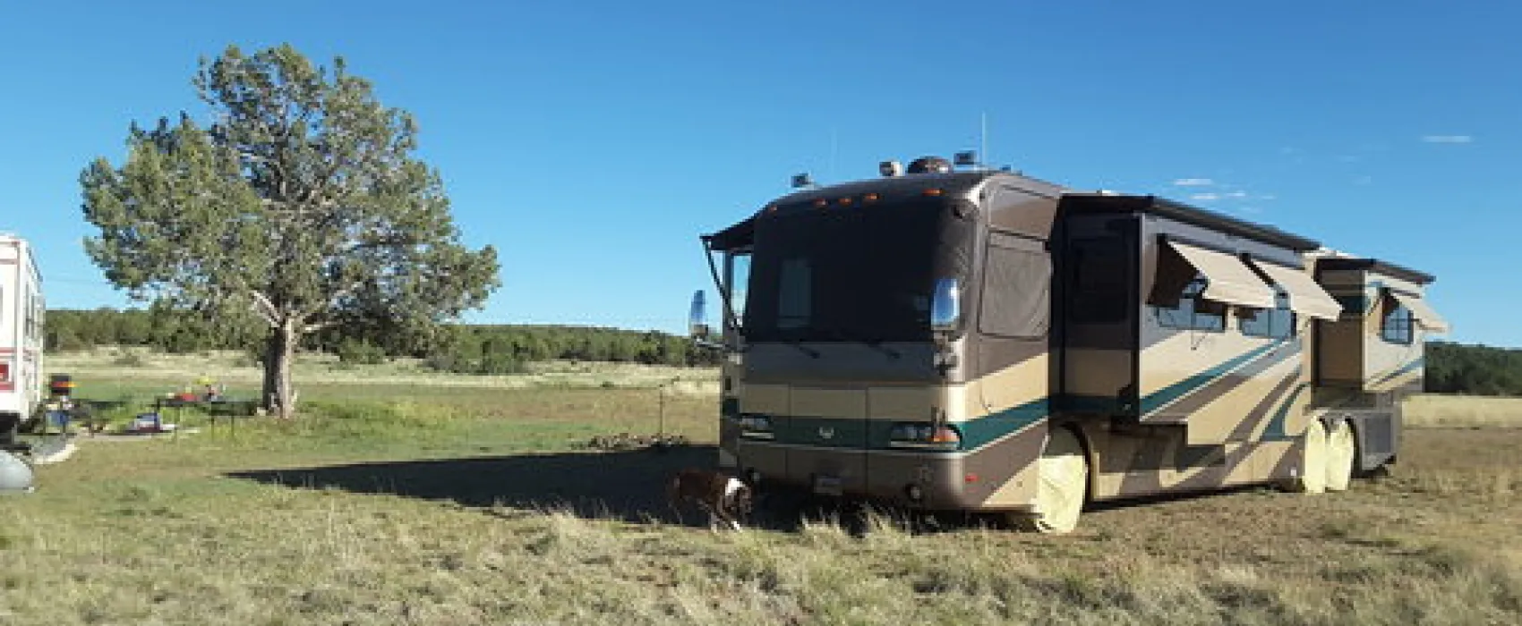 Welch Road Dispersed Camping