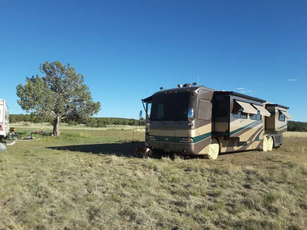 Welch Road Dispersed Camping