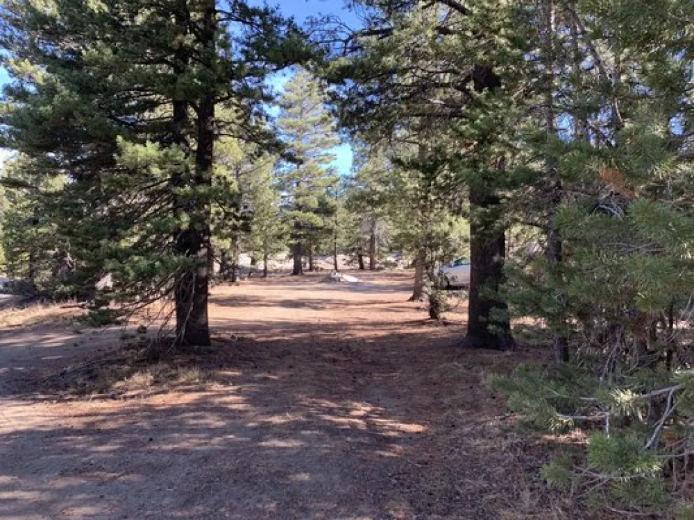West Fork Carson River Dispersed