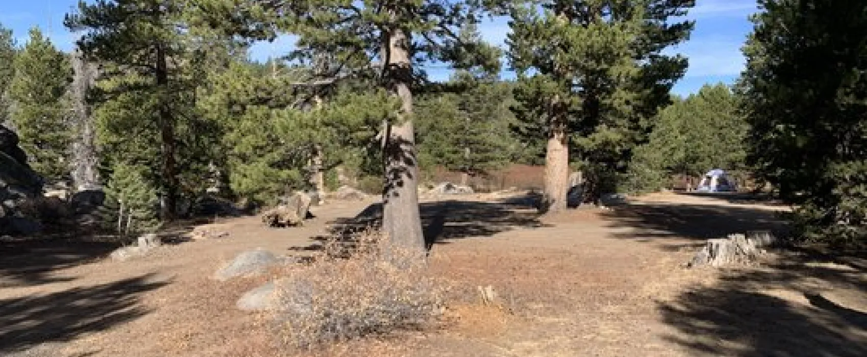 West Fork Carson River Dispersed