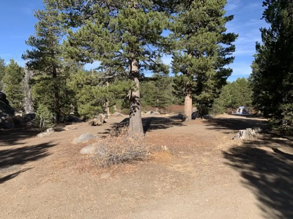 West Fork Carson River Dispersed