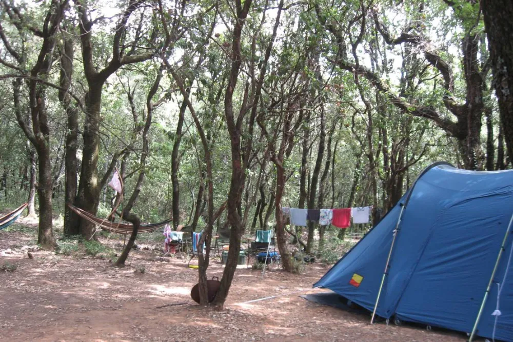 Camping Mille étoiles