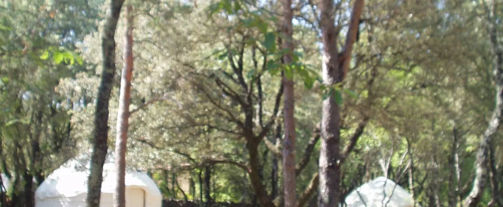 Camping Mille étoiles