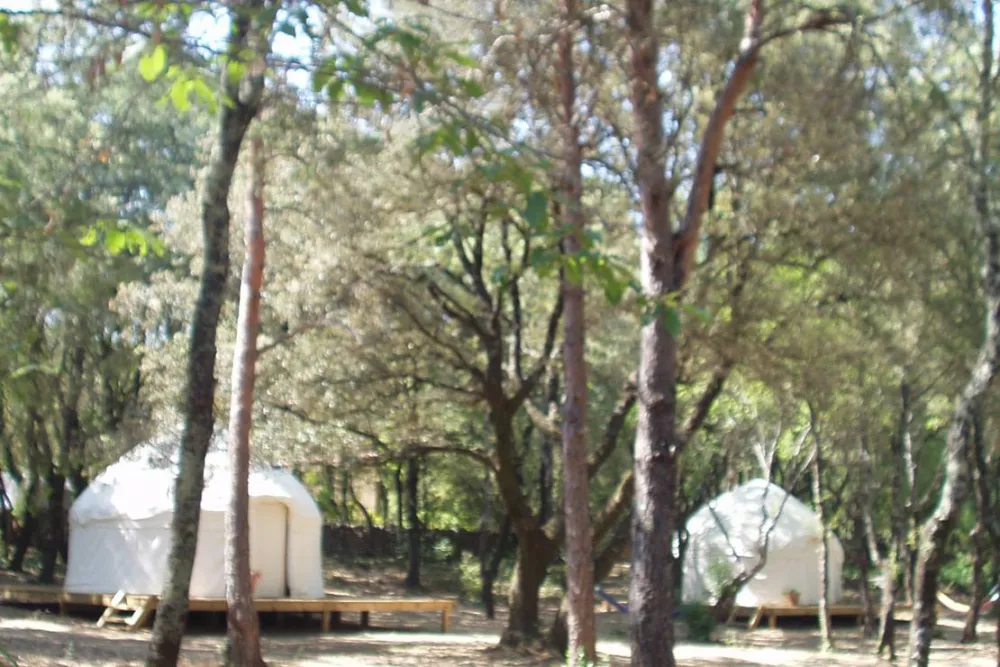 Camping Mille étoiles