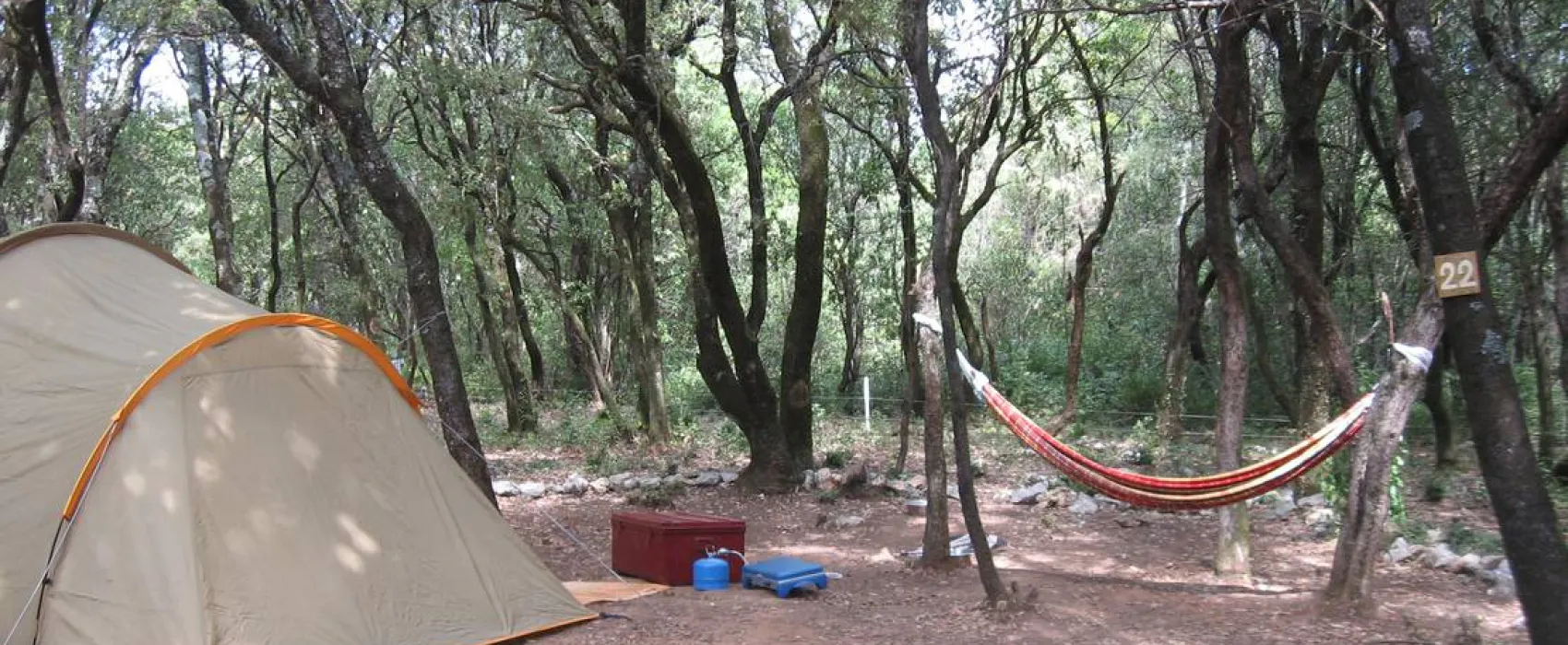 Camping Mille étoiles