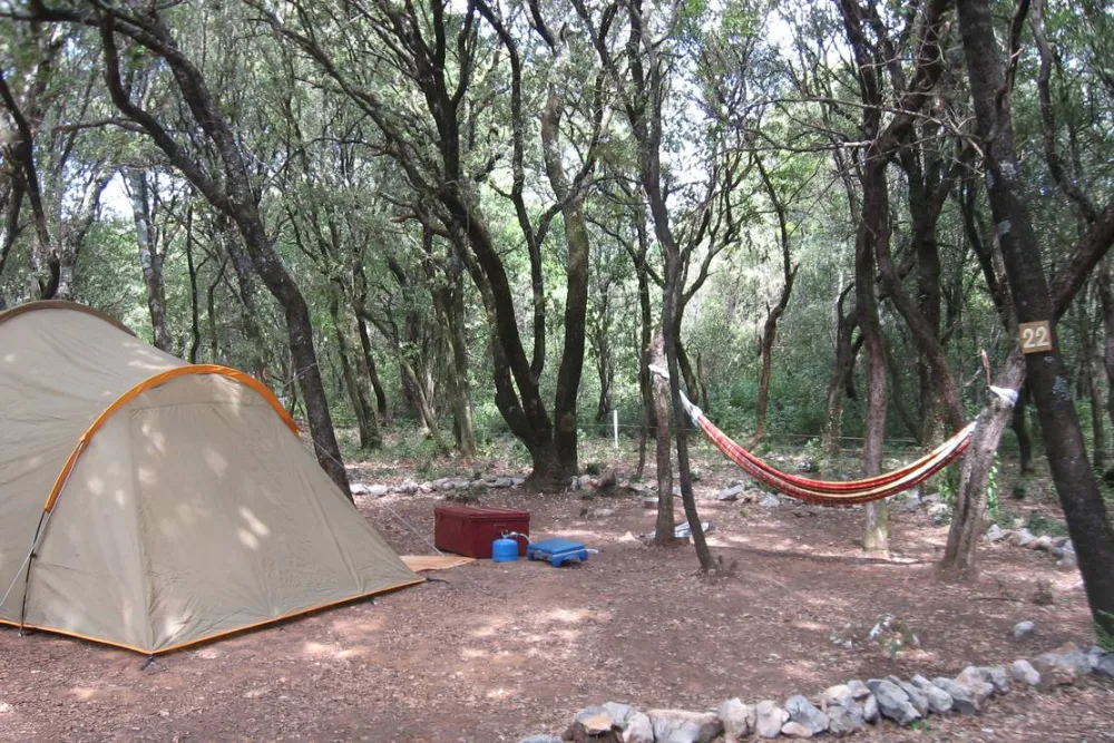 Camping Mille étoiles