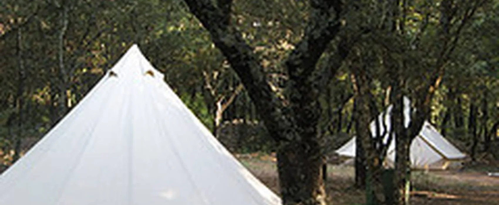 Camping Mille étoiles