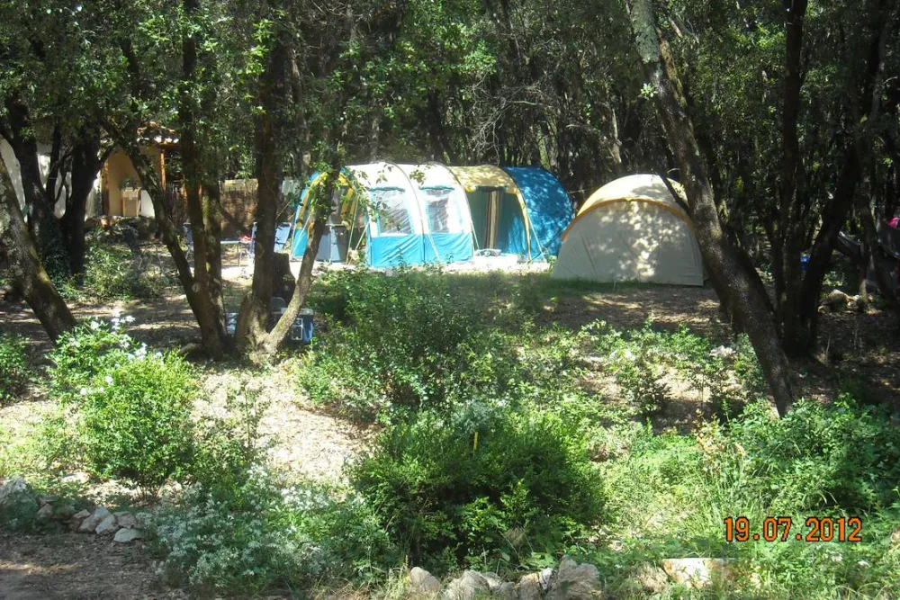 Camping Mille étoiles