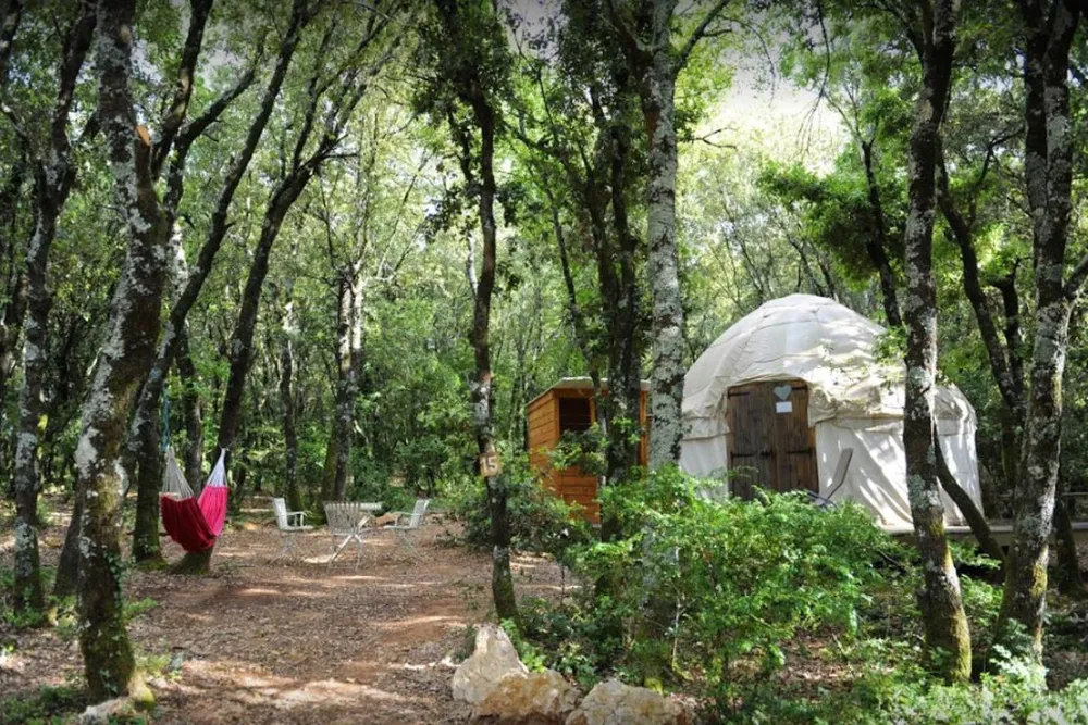 Camping Mille étoiles