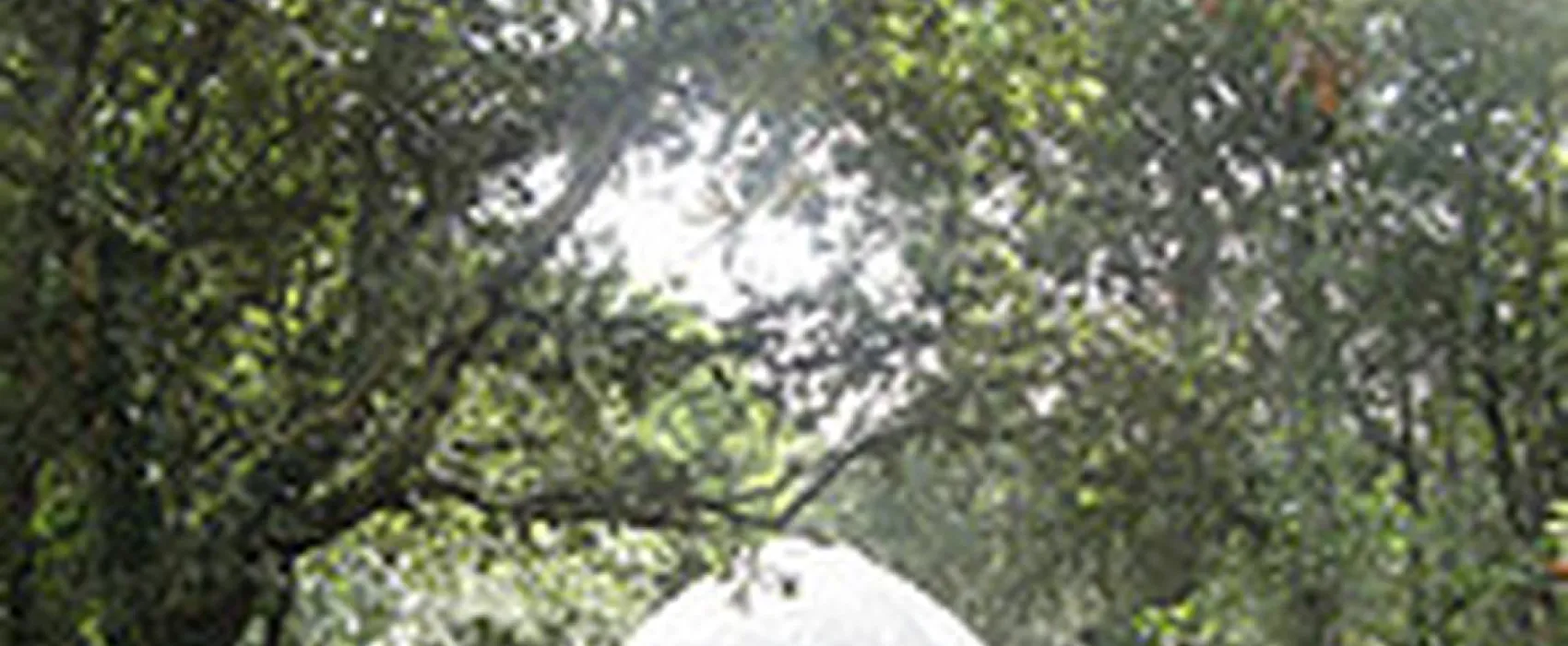 Camping Mille étoiles