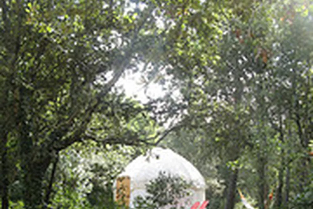 Camping Mille étoiles