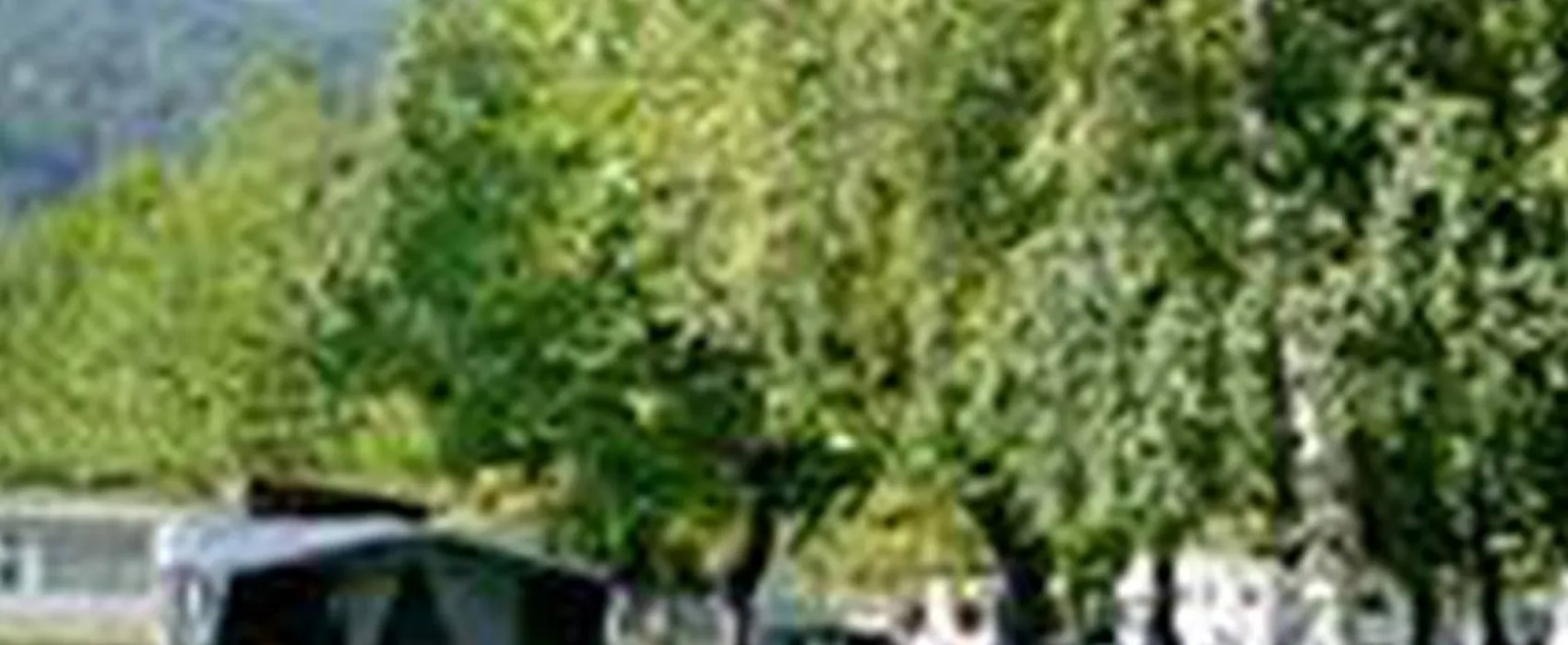 Camping à la Ferme La Pomarède